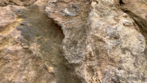 Chang Jiang 3 in 1 Kaw Kaw White Coffee (Halal) and Products 怡保长江白咖啡