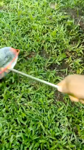 Roller Buah Lerai Sawit Telescopic Non-bending Roller Fruit Picker Fruit Collector