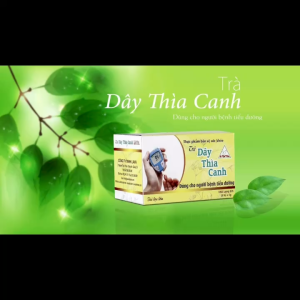 TRÀ DÂY THÌA CANH LAVA - HỖ TRỢ KIỂM SOÁT ĐIỀU HÒA ĐƯỜNG HUYẾT [ CHÍNH HÃNG ]