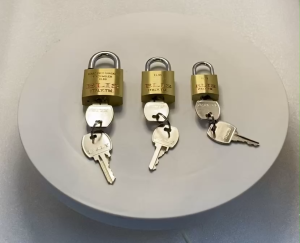 KHOÁ VALI DU LỊCH CAO CẤP ELIS 20MM