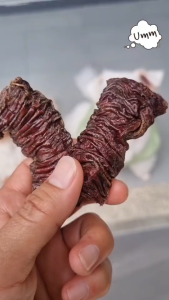 หลอดลม หลอดอาหารเนื้ออบแห้ง หอมอร่อย เคี้ยวหนึบ umm ขนมหมา