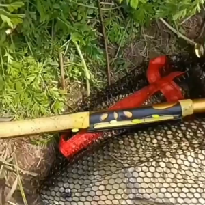 TÚI RỌNG ĐỰNG CÁ LƯỚI TRÁNG NHỰA GẤP GỌN TIỆN DỤNG MANG THEO CÓ TÍU ĐỰNG KÈM CHÂN GHIM ĐẤT 2 MÀU XANH VỚI ĐEN