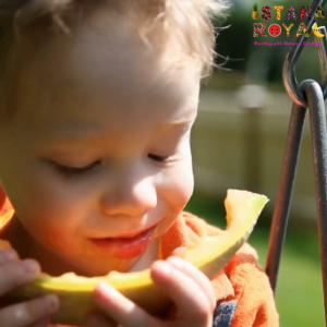 FLAVOURFUL HAMI MELON IMPORTED FROM CHINA - PACK OF 1 - ISTANA ROYAL FRUITS