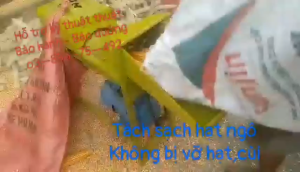 Máy Tách Hạt Ngô Công Suất 22kw Hàng Trung