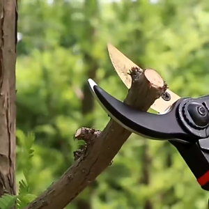 SK5 กรรไกรตัดแต่งกิ่ง กรรไกรตัดกิ่งไม้ 10 กรรไกรตัดกิ่ง กรรไกรตัดแต่งกิ่งไม้ คมและทนทาน ทำสวน ประหยัดแรงงาน แต่งสวน