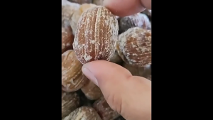 LoHerbs Medjool Golden Silk Candied Date XXL Size