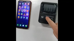 Thermal Printer Wireless Portable Printer Mini Bluetooth Printer 58mm SRS Top Up Loyverse POS OTA MY