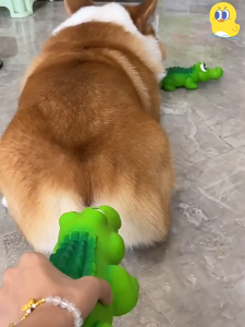 tổng hợp đồ chơi nhựa khủng long gà vịt la ó nhện sao biển cuaxương hamburger....dành cho chó mèo - T3 PETS SHOP