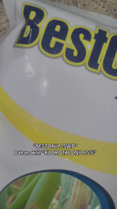 FUNGISIDA BESTONIL 75WP 500GR #HAMA #TANAMAN BAWANG #RACUN #PESTISIDA #ASLI# ORIGINAL #GROSIR