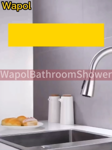 Wapol Kitchen Mixer Faucet Stainless Steel 304 Hot and Cold Kitchen Pull Donw Sink Faucet
