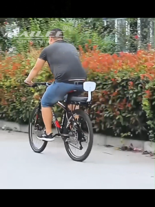 Ghế Yên Sau Xe Đạp Rời Cho Trẻ Gắn Baga sau Xe Đạp SADDLE SD-01 Có Tựa Lưng khung sắt đệm da PU -  Mai Lee