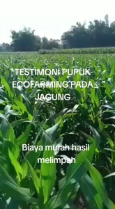 PUPUK ORGANIK PENYUBUR TANAMAN / PUPUK ECO FARMING / PUPUK ORGANIK SUPER