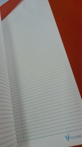 Victory Lesson Plan Book 210 mm x 280 mm 80 leaves 5 mm x 49 lines Blue