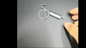 ตัวล็อคกรงสัตว์เลี้ยง ตัวล็อคกรงนก นกเขาใหญ่ อีเลคตัส เกรย์ อเมซอน ป้องกันนกปากขอเปิดประตูกรงได้ดี