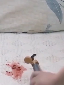 น้ำยาทำความสะอาดโซฟา น้ำยาซักแห้ง ที่ฉีดทำความสอาดที่นอน สเปรย์โฟมทำความสะอาดเอนกประสงค์ ทำความสะอาดเบาะรถยนต์ โซฟา พรมปูพื้น เบาะผ้า แบบซักแห้ง น้ำยาซักโซฟา โฟมซักแห้ง Fabric sofa Foam cleaner