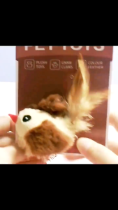 【ForeverBest】พร้อมส่ง ของเล่นสัตว์เลี้ยง ของเล่นแมว ของเล่นหมา นกจำลอง จะทำเสียง ทนต่อการสึกหรอและทนทาน