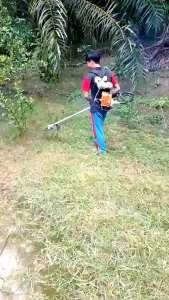 Mesin Potong Rumput Gendong 2 Tak / Brush Cutter TESLA GARANSI RESMI 5 TAHUN