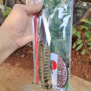 Pisau Okulasi Stek Cangkok Untuk Tanaman Hias Dan Bonsai 20cm Miring Tangan Kanan