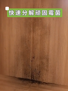 木材除霉剂衣柜去霉实木头家具柜子发霉防霉神器 Wood Furniture Cabinet Mildew Cleaning Agent Spray 500gram