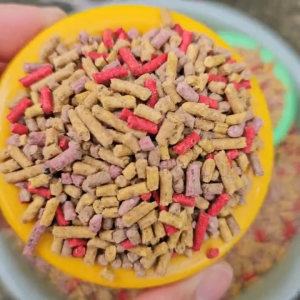 Thức Ăn Tổng Hợp 6 Loại Hạt Cho Sóc Đất Bông Bay Úc Bọ Chuột Hamster Thú Cưng Nhỏ...