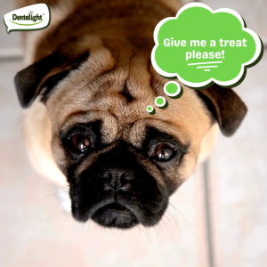 Dentalight Vital Fiber Dental Sticks Vegetarian Recipe Dog Treats 70g