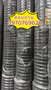 ทนสนิม!! ลวดตาข่าย ชุบกัลวาไนซ์ร้อน ช่องตา3/4นิ้ว 6หุน  (ม้วน30เมตร) หนา 0.7มิล 1มิล 1.6มิล   ลวดตะแกรงเหล็ก กรงไก่ ตาข่ายกันนก สำหรับติดโรงงาน ตาข่าย กันหนู กันงู ตาข่ายลวด ตะแกรง Hot Dip Galvanize wiremesh 3/4"