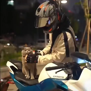 【Fashionable New Arrival】 Pet Pantry Motorcycle Pet Safety Helmet Cat Doll Toy Charm Hat Dog