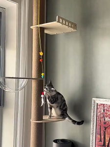 【Damaiii】คอนโดแมวติดเพดาน เสาปีนป่าย DIY สลับชั้นได้ เสาลับเล็บแมว ยึดเพดาน ไม่ต้องเจาะ สูง 250 – 260CM