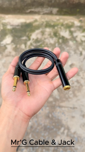 Cáp Chuyển 1 Đầu 6 Ly Cái Ra 2 Đầu 6 Ly Đực dài 50cm giá 1 dây dây 6 ly cái ra 2 6 ly đực.