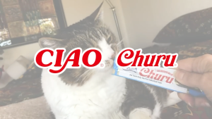 INABA CIAO CHURU TUBE LACTOBACILLUS FUNCTIONAL TUBE 80G