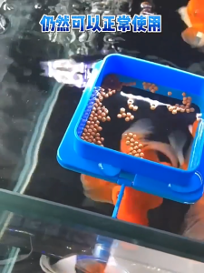 ที่ให้อาหารปลา ที่กั้นให้อาหารปลา ห่วงให้อาหารปลา แบบวงกลม แบบสี่เหลี่ยม กันอาหารกระจาย อุปกรณ์ตู้ปลา