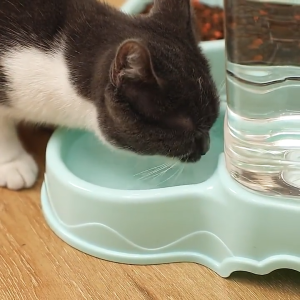 YTL เครื่องให้น้ำให้อาหารสุนัขอัตโนมัติขนาดใหญ่ 3.8 ลิตร ที่ให้น้ำ ที่ให้อาหารแมวขนาดใหญ่  อัตโนมัติ แยกขาย ราคาต่อชิ้น