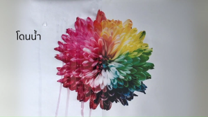 1ฟรี1 Compute น้ำหมึกกันน้ำ หมึก กันน้ำ 100% Pigment แคนนอน Canon เครื่อง G1000 G1010 G2010 G3010 G4010 Canon GI-790 พิมพ์กระดาษผิวด้าน