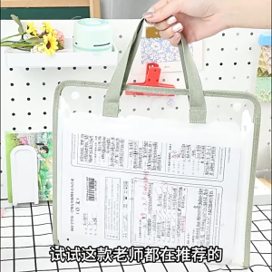 13Pockets File Folder Organizer with Labels A4 Transparent Expanding File Folder with Handle Document Organizer Organ Bag