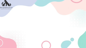 Bát Đôi Gắn Bình Cấp Nước Tự Động Cho Chó Mèo BAU038