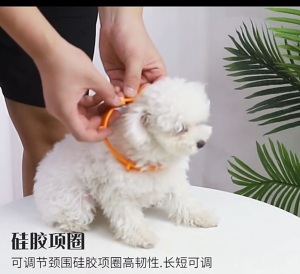 Vòng cổ trị ve rận côn trùng cho Chó Mèo Taotaopets (mẫu mới) - Love pets shop