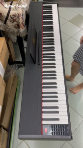 Đàn Piano Điện Saiger 5130 - Chính Hãng Đàn Piano 88 Phím Màu Trắng Đen Đàn Piano Điện 220V Bảo Hành 1 Năm Đàn Saiger 5130 Chất Lượng Cao Đàn Piano Di Động Nhẹ Từ 6 Đến 15 Kg - Lazada