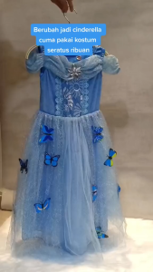 Dress Princess Costume Cinderella Pink dan Blue