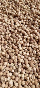 Buah Kapol Kering / Kapolaga Kering / Buah Kapol Laga Kering Alami