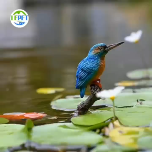 LEPET Hiasan Ornamen dahan dan burung 762 Bahan Resin Untuk Dekorasi Tangki Ikan