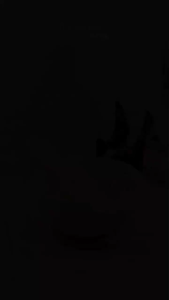 Kandila Baby Twisting Fork & Spoon Set