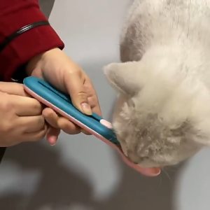 Pet Treat Feeding Spoon/Liquid Snack Feeding Spoon-Random Colour