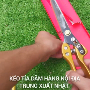 Kéo cắt tỉa cành cây mũi nhọn size 30cm hàng nội địa Trung xuất Nhật-Kèm lò so sơ cua