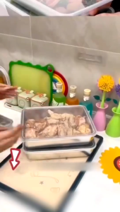 Tempat Wadah Makanan & Kontainer Makanan: Pilihan Terbaik untuk Anda