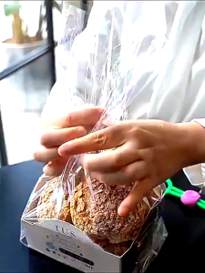 1PC Klip Pengikat Kantong Plastik Makanan Tali Sealer Penyegel Kantong Plastik Adjustable