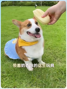 1PC Mainan Gigit Anjing Bersuara Dog Toys Interactive Peanut Milk Scent