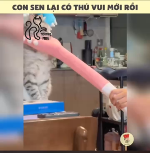 Cây bông xiên chọc thú cưng - Đồ chơi cho thú cưng - Tiệm Mèo Moa