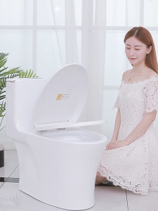 Thickened Universal Toilet Seat Cover - Quick Release, Silent Slow Down - U/O/V Shape - Household Toilet Seat 馬桶蓋 - PP Material - Fast Delivery