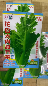 Hạt giống rau cải mèo khổng lồ-4gr(tặng kèm phân bón)