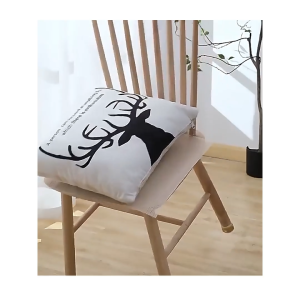 Cố Định Ga Giường Thảm Trải Giường Thảm Chống Trượt Thảm Sàn Sofa Đệm Chiếu Nhiều Kích Cỡ-HAUSE